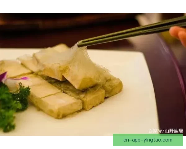 汤头条下载：解锁你的美食智慧，开启舌尖上的奇幻之旅！